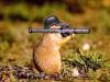Fun_Pic_ 475 